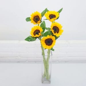 Sunflower Local (5 Stalks)