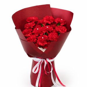 M08 - Scarlet Embrace