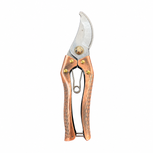 SCISSOR - GARDILTY
